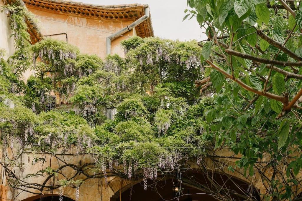 سانت بيرِ ذي ريبيس Villa Catalina Aka Villa Almanita المظهر الخارجي الصورة