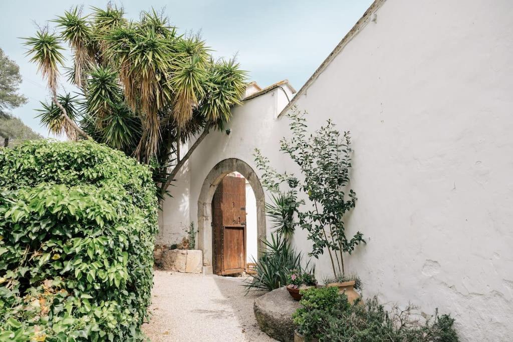 سانت بيرِ ذي ريبيس Villa Catalina Aka Villa Almanita المظهر الخارجي الصورة