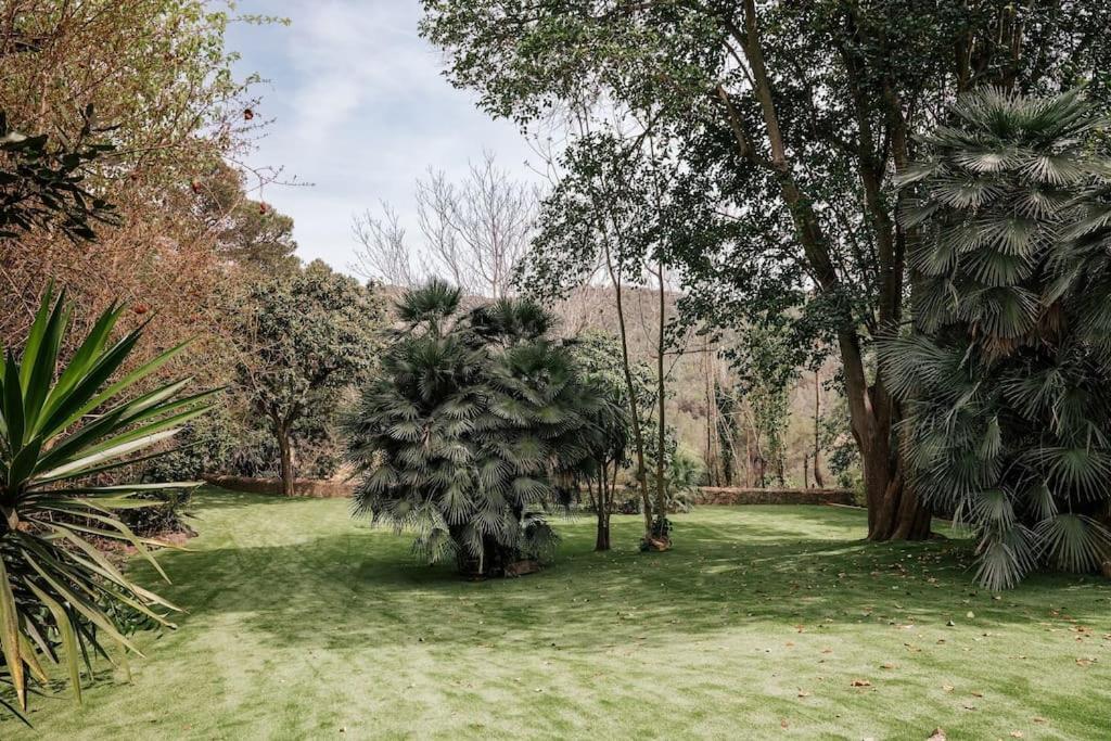 سانت بيرِ ذي ريبيس Villa Catalina Aka Villa Almanita المظهر الخارجي الصورة