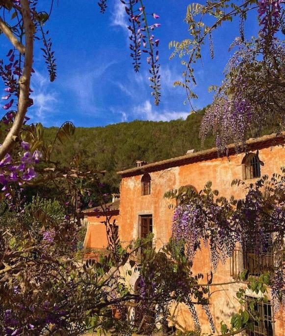 سانت بيرِ ذي ريبيس Villa Catalina Aka Villa Almanita المظهر الخارجي الصورة